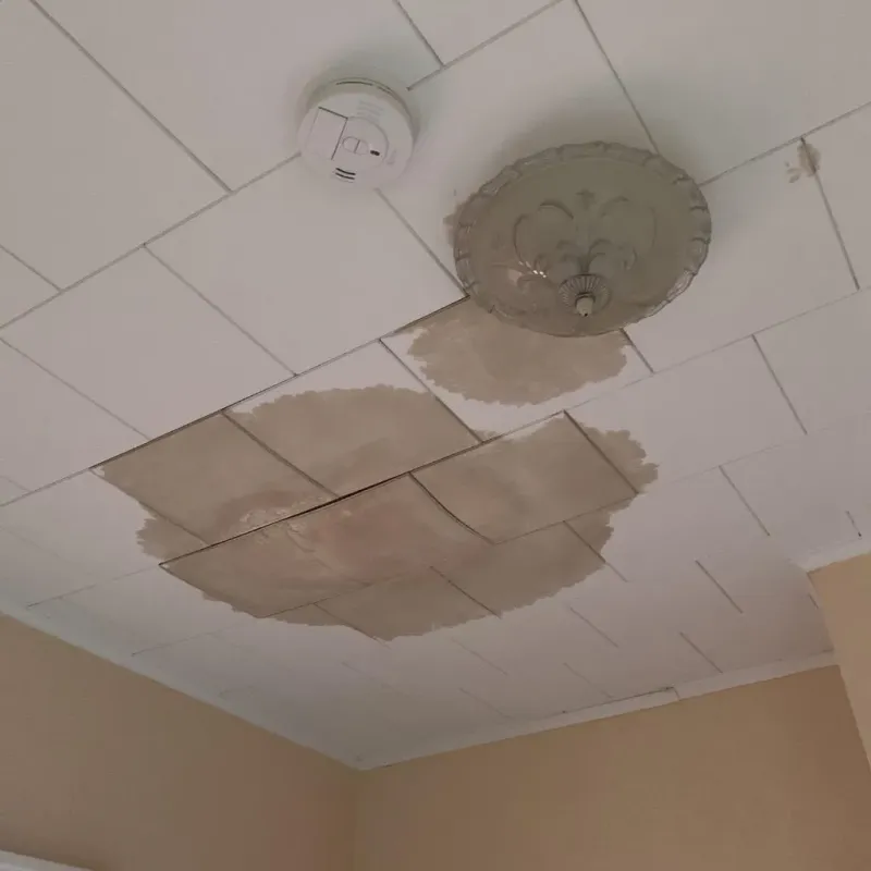 Ceiling Water Damage Repair in Maplewood, MN