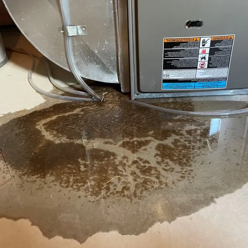 Pipe Burst and Leak Restoration in Maplewood, MN
