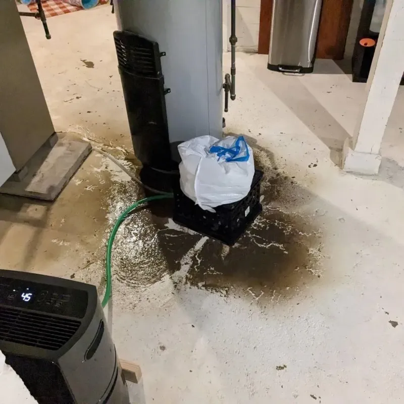 Sewage Backup Cleanup Service in Maplewood, MN